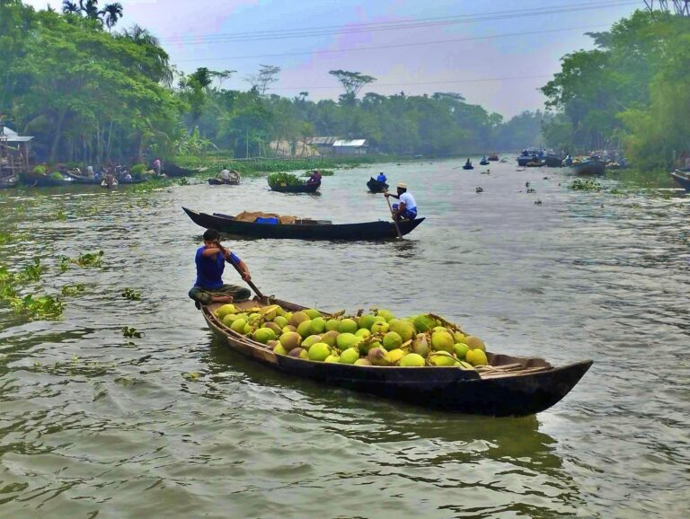 Barisal backwater trip photo