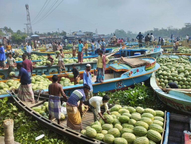 Barisal fruit market
