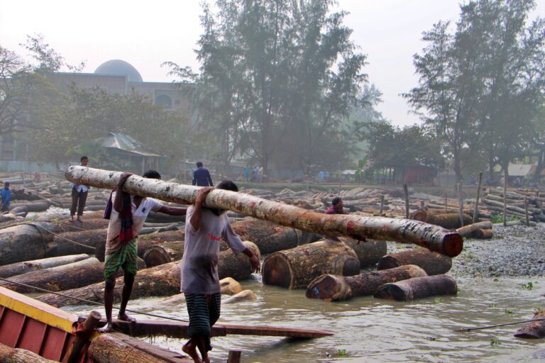 Barisal photo-8