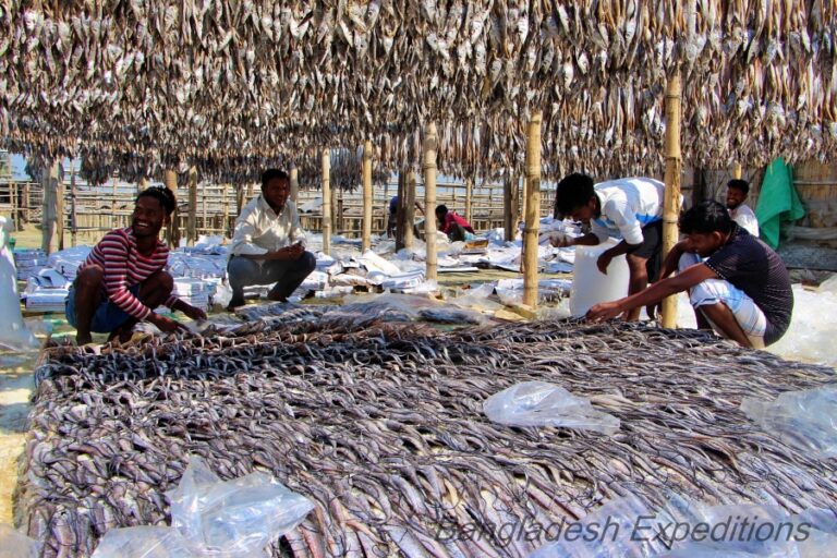 Drying fish photo