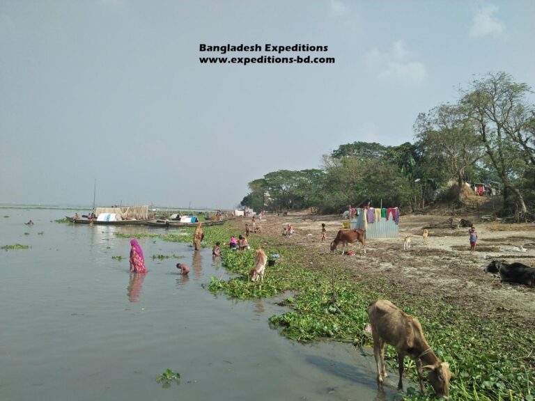 Meghna River island village