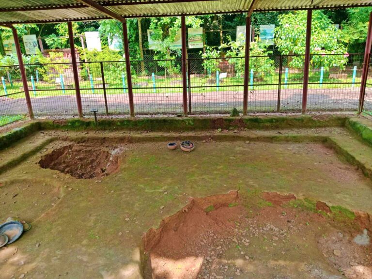 PIT_DWELLING in Wari-Bateswar
