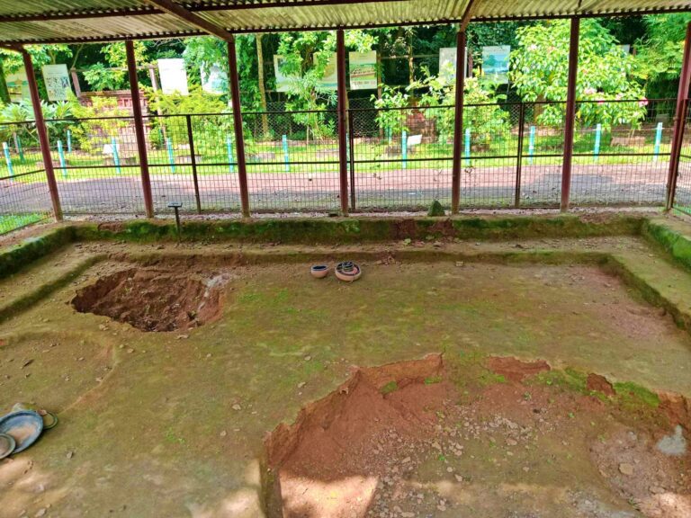 PIT_DWELLING in Wari-Bateswar