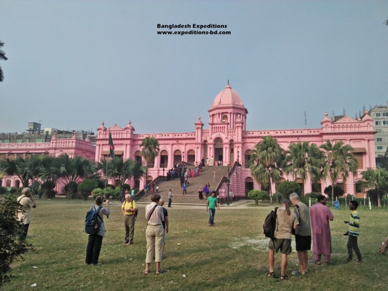 Pink palace