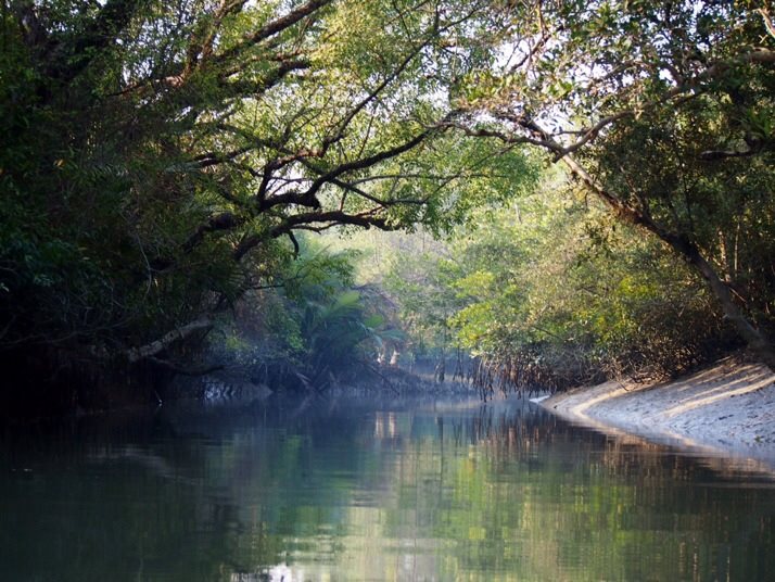Sundarbans canal cruise