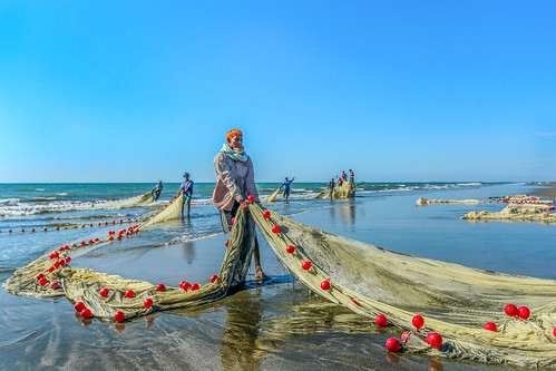 fishing