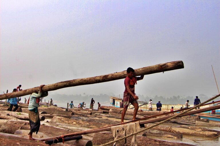 floating timber market photo