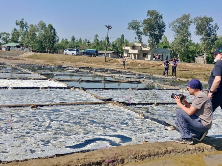 salt extruction cxb