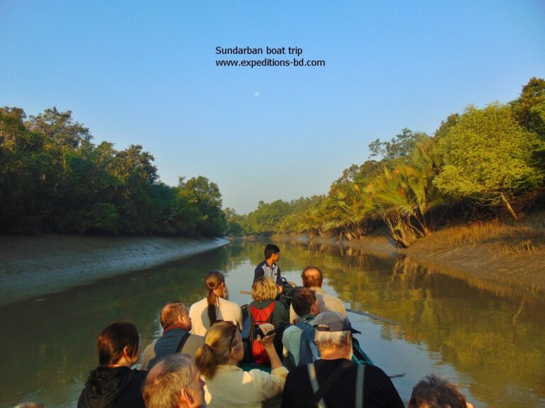 sundarbans cruise