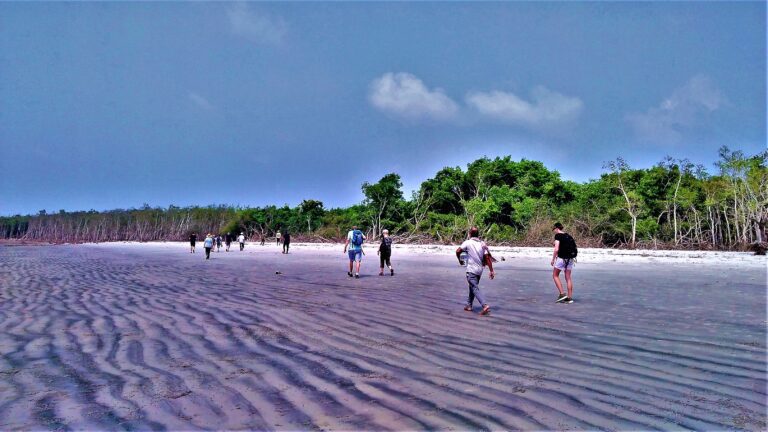 sundarbans green beach trails