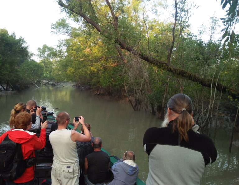 sundarbans wildlife expeditions