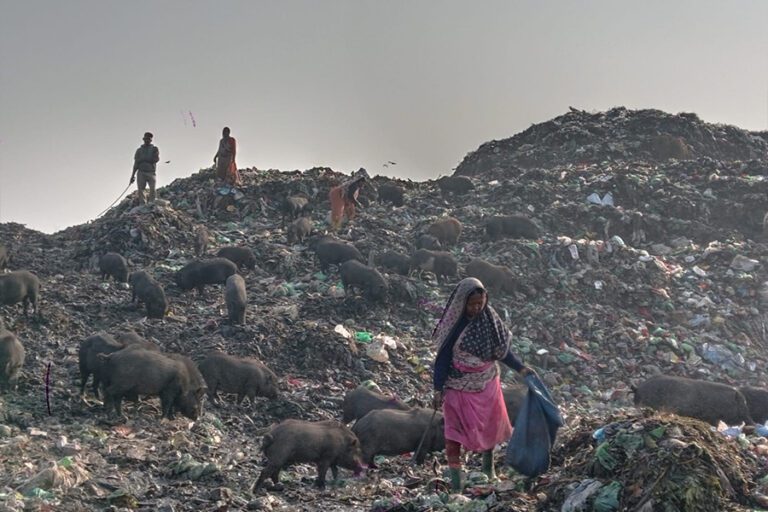 Dustbin-2