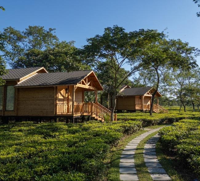 Eco Resort in BD