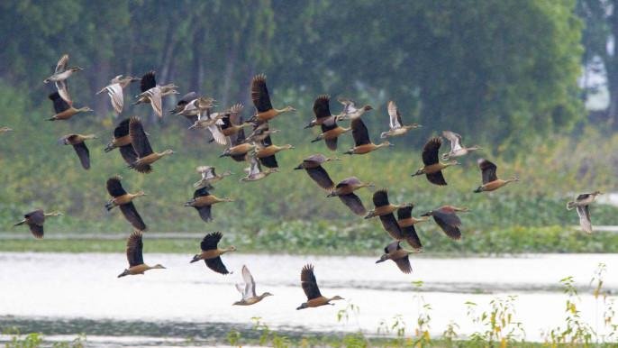 baikka Beel tour